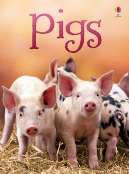 Pigs - Book  of the Usborne Beginners