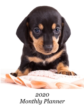 2020 Monthly Planner: Cute Dachshund Puppy Cover – Includes Major U.S. Holidays and Sporting Events