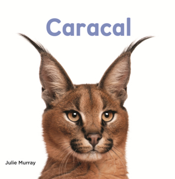 Library Binding Caracal [Spanish] Book