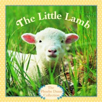 Paperback The Little Lamb Book