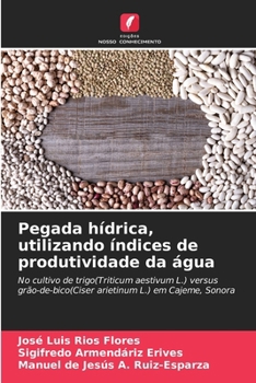 Paperback Pegada hídrica, utilizando índices de produtividade da água [Portuguese] Book