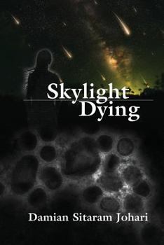 Paperback Skylight Dying Book