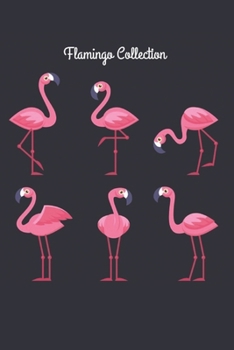 Paperback Flamingo Collection: Flamingo Notebook Lined 110 Pages (6x9) Book