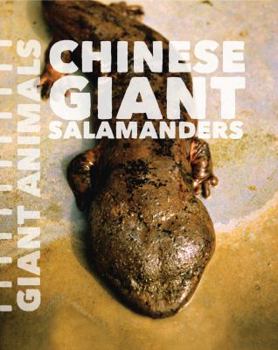 Library Binding Chinese Giant Salamanders Book