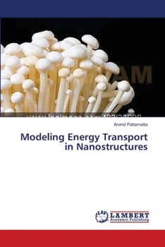 Paperback Modeling Energy Transport in Nanostructures Book