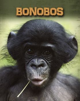 Hardcover Bonobos Book