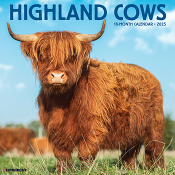 Calendar Highland Cows 2025 12 X 12 Wall Calendar Book