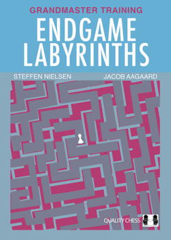 Paperback Endgame Labyrinths Book