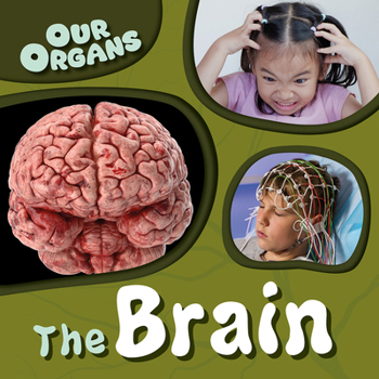 Brain