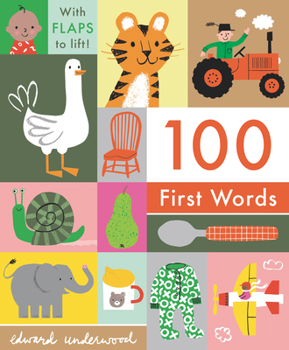 Board book 100 First Words Book