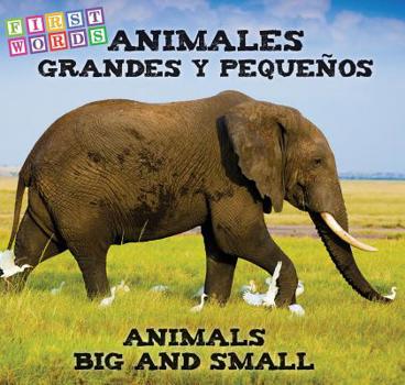Board book Animales Grandes Y Pequeños: Animals Big and Little [Spanish] Book