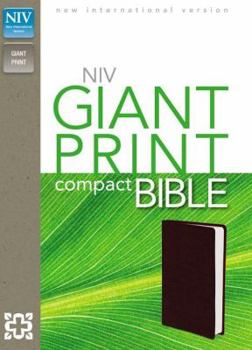 Holy Bible: New International Version (NIV)