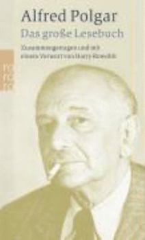 Pocket Book Das große Lesebuch (rororo Taschenbücher) [German] Book