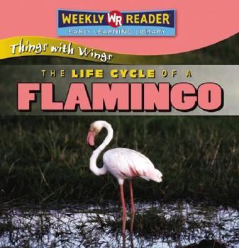 Library Binding The Life Cycle of a Flamingo Book