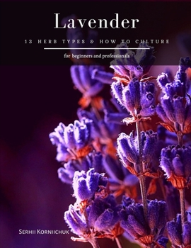 Lavender: 13 herb Types & How to Culture