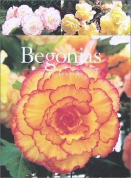 Paperback Begonias Book