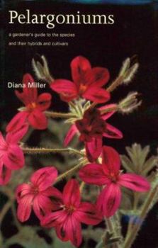 Hardcover Pelargoniums: A Gardener's Guide to the Species and Their Cultivars and Hybrids Book