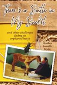Paperback There's a Beetle in My Bucket: and other challenges facing an orphaned horse Book