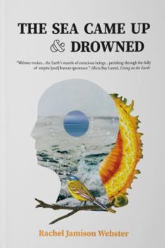 Paperback The Sea Came Up & Drowned Book