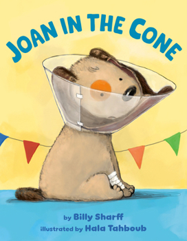 Hardcover Joan in the Cone Book