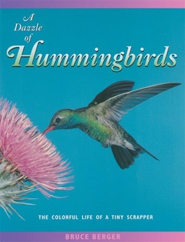 Paperback A Dazzle of Hummingbirds: The Colorful Life of a Tiny Scrapper Book