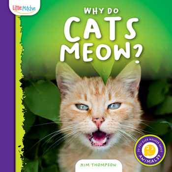 Hardcover Why Do Cats Meow? Book