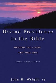 Paperback Divine Providence in the Bible: Meeting the Living and True God, Vol. II: New Testament Book