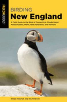 Paperback Birding New England Book