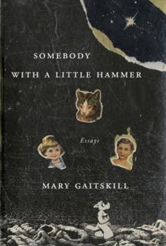 Hardcover Somebody with a Little Hammer: Essays Book