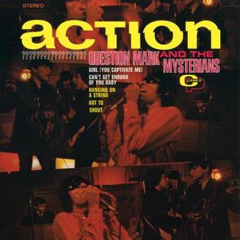 Vinyl Action (LP) Book