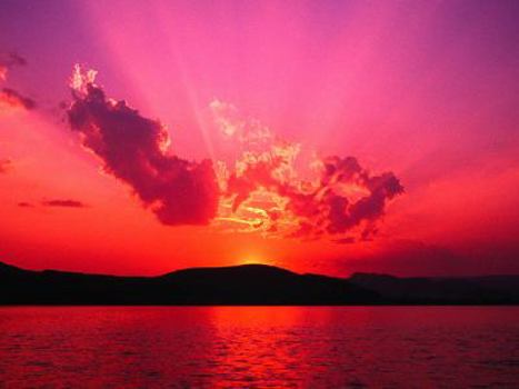 Paperback Without Permission - A Spiritual Journey to Healing Book
