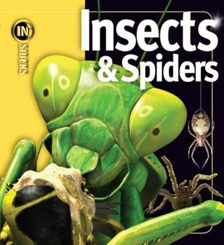 Hardcover Insects & Spiders Book