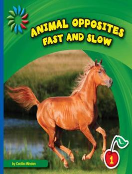 Fast and Slow - Book  of the Animal Opposites