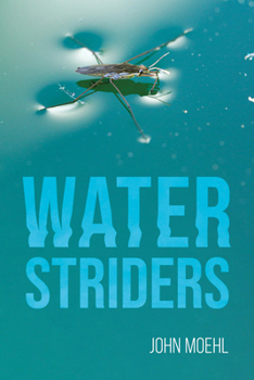 Paperback Water Striders Book