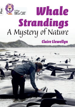 Collins Big Cat ? WHALE STRANDINGS: A MYSTERY OF NATURE: Band 10+/White Plus: Band 10+/White Plus - Book #17 of the Ανθολογία Επιστημονικής Φαντασίας Ιστορίες των εκδόσεων Ωρόρα