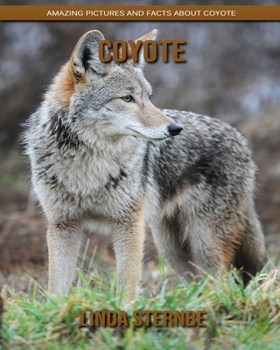 Paperback Coyote: Amazing Pictures and Facts About Coyote Book