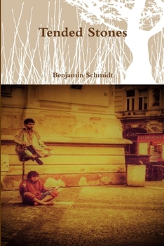 Paperback Tended Stones Book