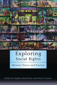 DVD Exploring Social Rights: Between Theory and Practice Book