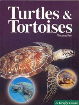 Paperback Turtles and Tortoises Book