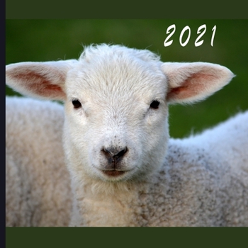 2021: Monthly Photo Calendar - January 2021 - December 2021 - Monthly Calendar with U.S./UK/ Canadian/Christian/Jewish/Muslim Holidays - Sheep Lamb Goat Calendar