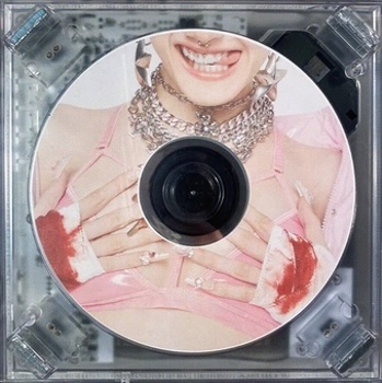 Vinyl Suckerpunch Book