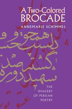 Hardcover A Two-Colored Brocade: The Imagery of Persian Poetry Book
