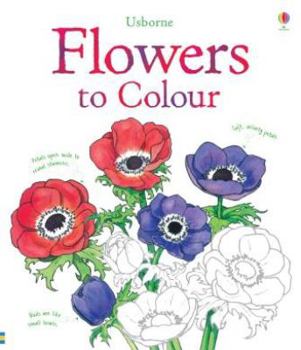 Paperback Flower Colouring Book