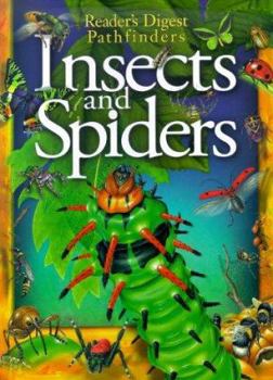 Hardcover Insects and Spiders Book