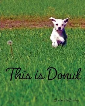 Paperback This Is Donut Book