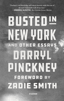 Paperback Busted in New York and Other Essays Book