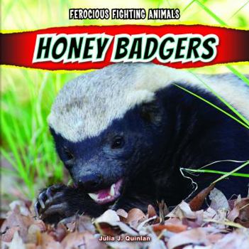 Paperback Honey Badgers Book