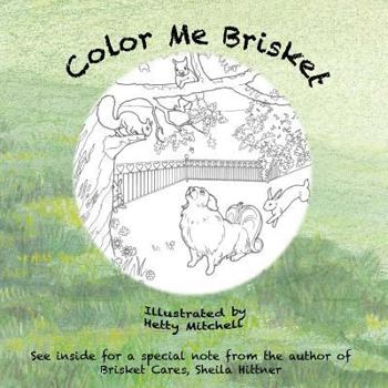 Paperback Color Me Brisket Book