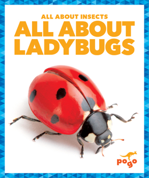 Library Binding All about Ladybugs Book