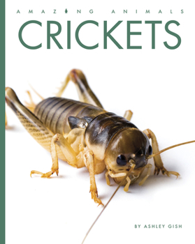 Library Binding Crickets Book